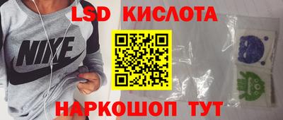 прущие грибы Заводоуковск