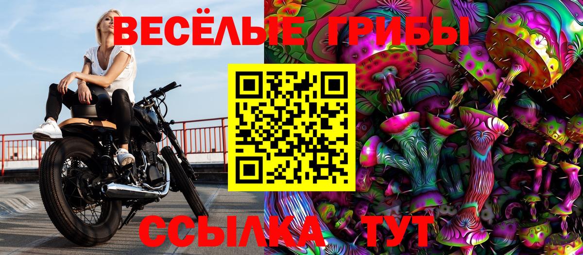 Нефтекамск  Псилоцибиновые грибы MAGIC MUSHROOMS  Вход с VPN  Псилоцибиновые грибы GOLDEN TEACHER 
